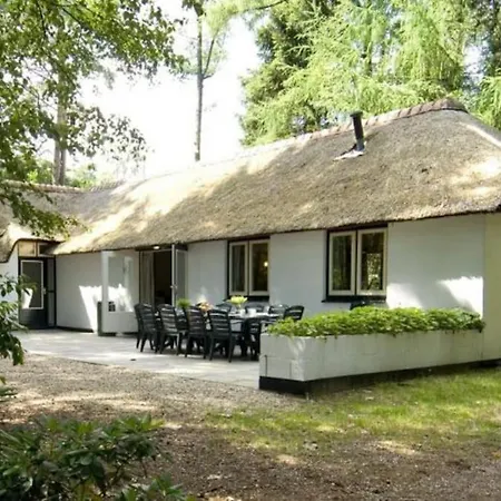 Ferienhaus Familiehuis De Lariks - 12 Persoons Op De Veluwe *