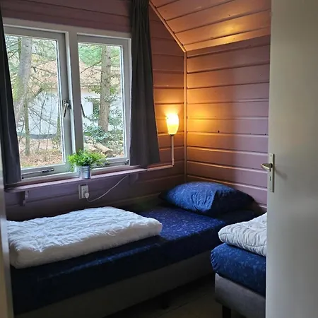 Familiehuis De Lariks - 12 Persoons Op De Veluwe *