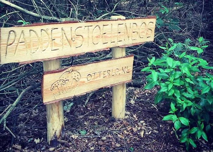 Semesterbostad Familiehuis De Lariks - 12 Persoons Op De Veluwe