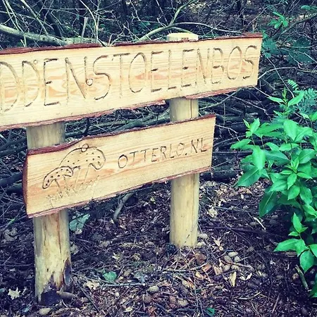 Semesterbostad Familiehuis De Lariks - 12 Persoons Op De Veluwe