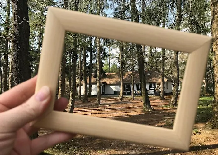 Familiehuis De Lariks - 12 Persoons Op De Veluwe Feriehus